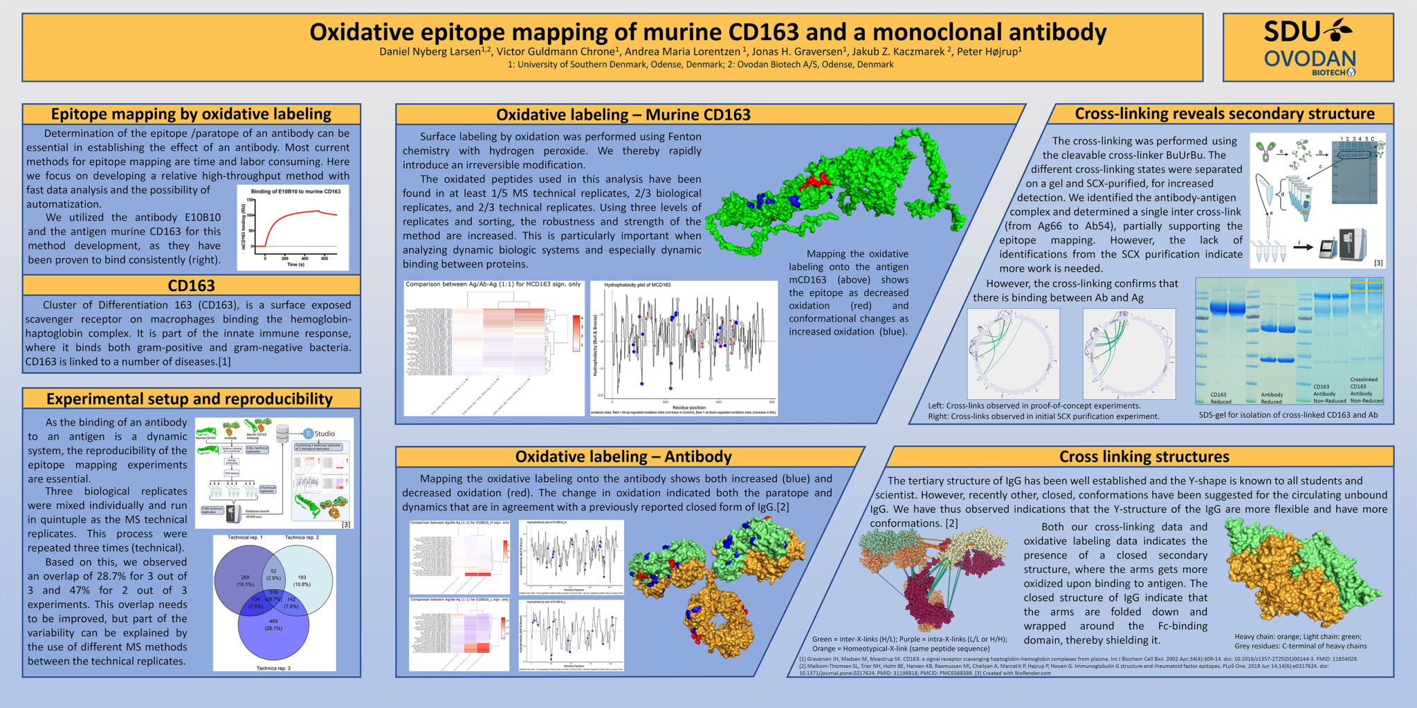 Epitope mapping by oxidative labelling | OVODAN BIOTECH A/S